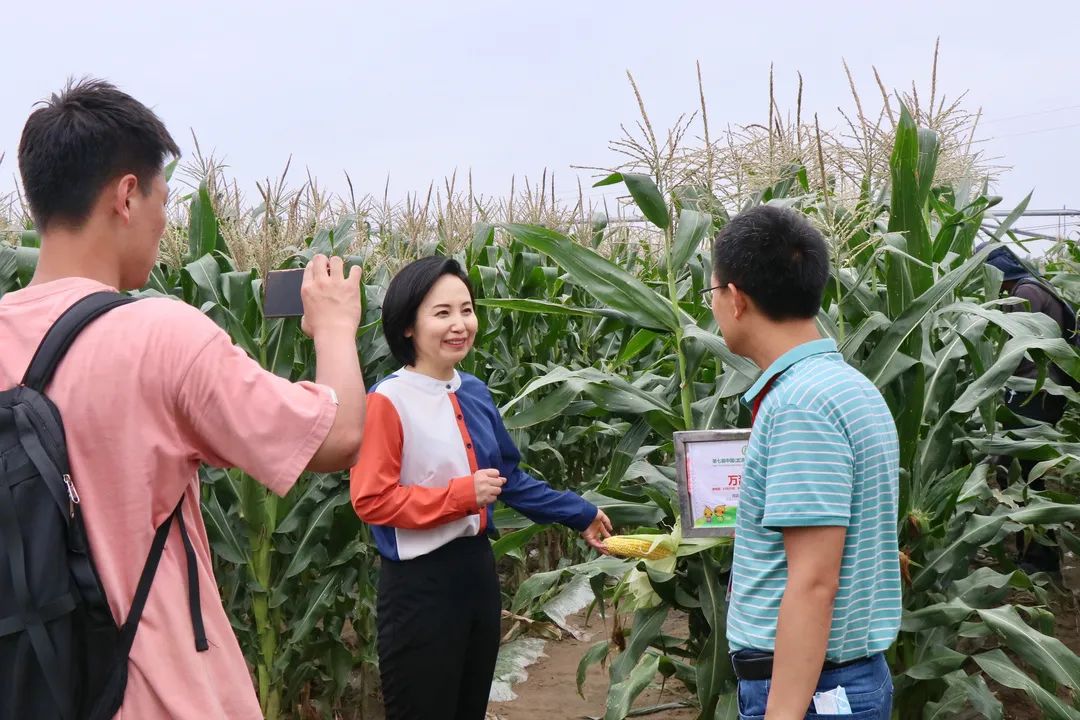 山西玉米深加工_山西鲜食玉米加工_玉米山西鲜食加工厂在哪里