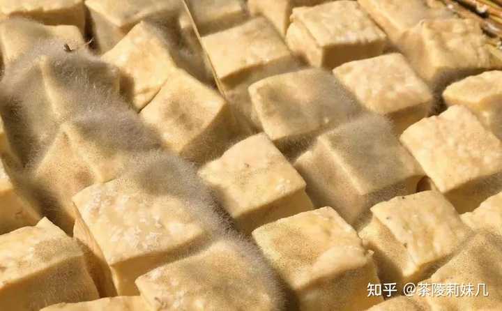 做豆腐乳盐怎么放_豆腐乳放盐后直接放油会入味吗_一斤豆腐乳放几钱盐