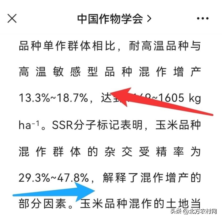 玉米控旺剂品种大全_旺农玉米种子_旺玉168玉米